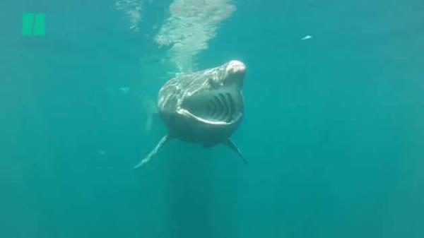 房卡一分钟了解“微信斗牛大厅链接房卡”房卡详细使用教程 房卡一分钟了解“微信斗牛大厅链接房卡”房卡详细使用教程