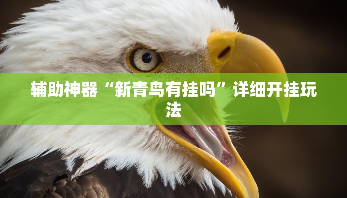 房卡一分钟“微信牛牛房间房卡”房卡详细使用教程