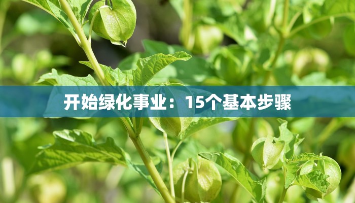 开始绿化事业：15个基本步骤