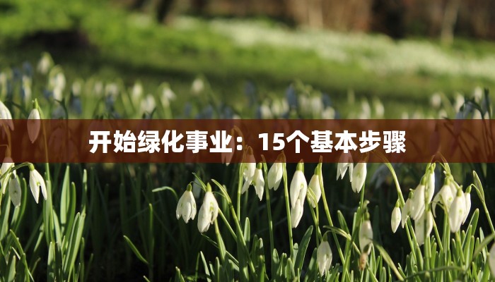 开始绿化事业:15个基本步骤 开始绿化事业:15个基本步骤