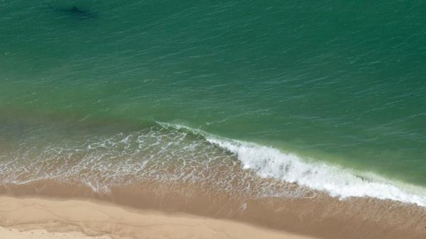 据报道，奥兰治县水域出现“攻击性鲨鱼行为”