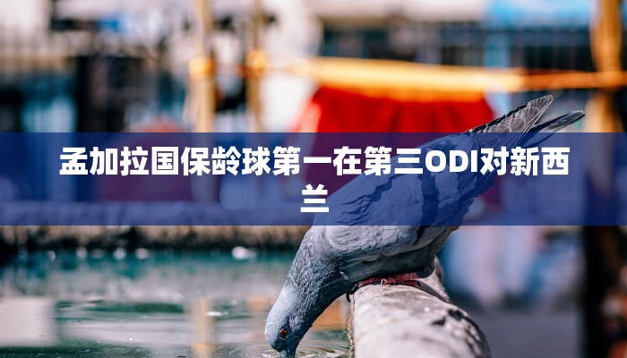 推荐一款“微信群斗牛房间链接在哪里有-获取房卡教程 推荐一款“微信群斗牛房间链接在哪里有-获取房卡教程