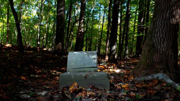 秒懂百科“微信群里面玩炸 金花房卡如何卖”详细房卡教程