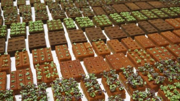 一分钟实测分享“微信怎么建房玩斗牛”房卡链接获取