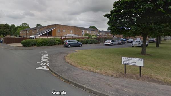 在古代坟墓旁发现的恐龙骨头可能属于“第一批化石猎人”