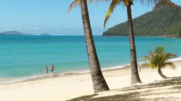 实测经验““AApoker辅助透视神器”(透视)开挂辅助脚本