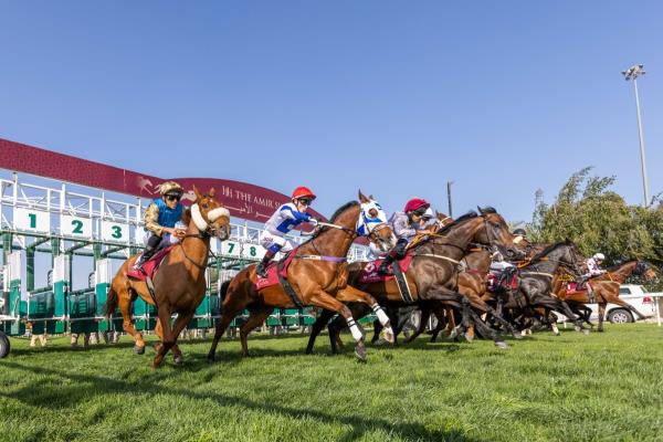 房卡一分钟了解“生肖牛房卡大厅
”房卡详细使用教程 房卡一分钟了解“生肖牛房卡大厅
”房卡详细使用教程