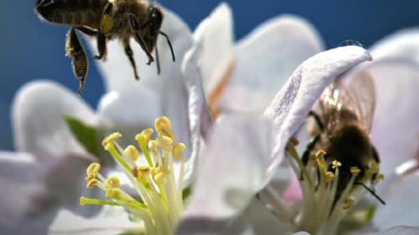 开挂辅助工具“一道搓百搭哪里可以开挂”开挂(透视)辅助教程