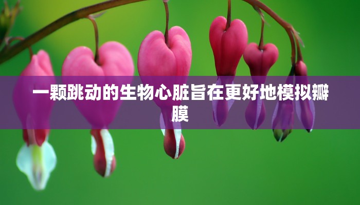 一分钟普及“微信群里建房炸金花房卡-链接如何购买