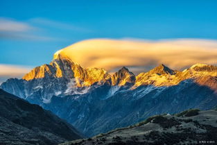 全渠道了解“新道游牛牛大厅金花房卡”官方渠道安全 全渠道了解“新道游牛牛大厅金花房卡”官方渠道安全