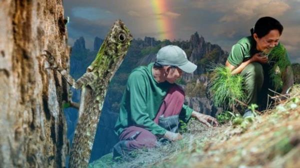 必看教程“微信链接拼三张房卡-购买房卡介绍 必看教程“微信链接拼三张房卡-购买房卡介绍