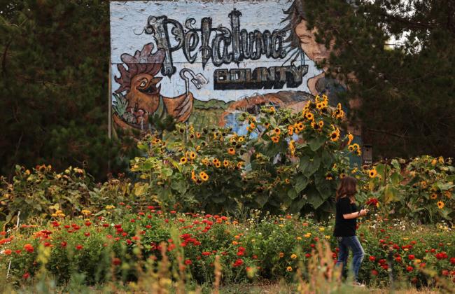 全渠道普及“皇豪互娱金花房卡怎么获取”获取房卡方式 全渠道普及“皇豪互娱金花房卡怎么获取”获取房卡方式