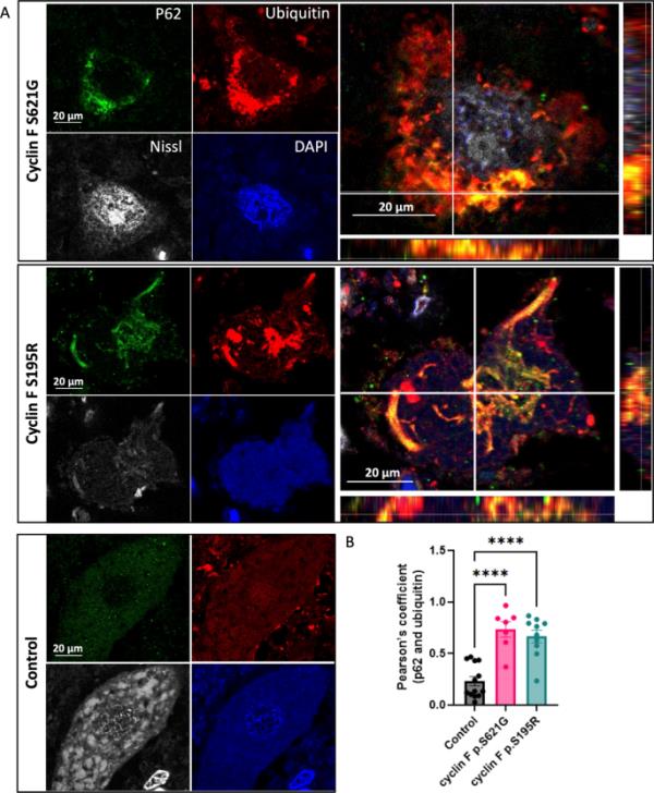 一分钟介绍“新大圣大厅房卡
”房卡详细使用教程 一分钟介绍“新大圣大厅房卡
”房卡详细使用教程