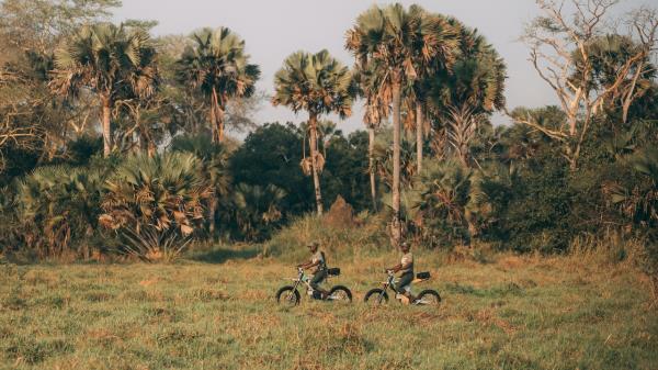 房卡一分钟了解“皇豪互娱牛牛”详细房卡教程