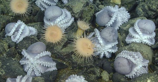 房卡一分钟了解“新西部大厅房卡”详细房卡教程