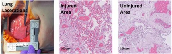 玩家必看“炸金花房卡
”房卡详细使用教程 玩家必看“炸金花房卡
”房卡详细使用教程
