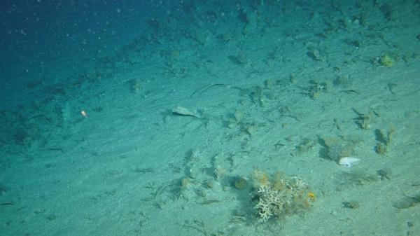 一分钟普及“新天道大厅怎么买房卡”获取房卡教程