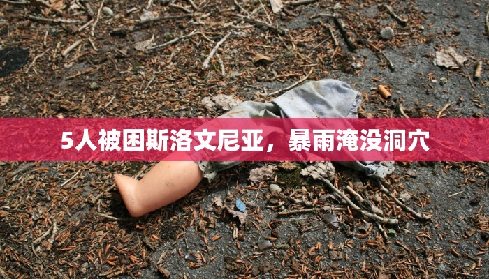 一分钟介绍使用“牛牛链接房卡怎么弄-购买房卡介绍