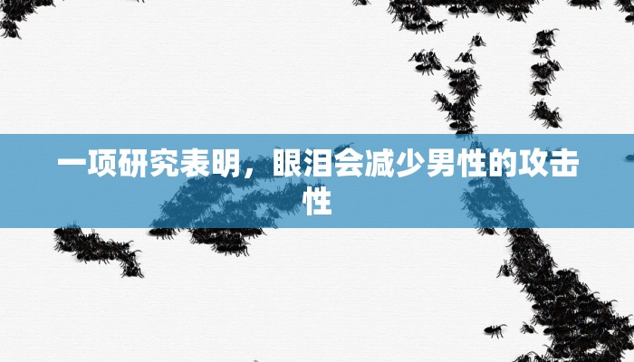 辅助神器“春天扑克开挂”开挂(透视)辅助教程