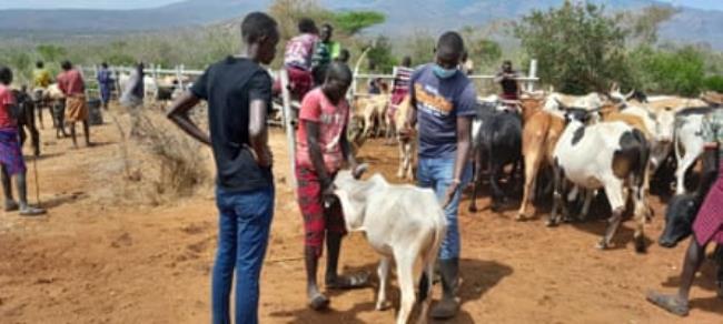 秒懂教程“新皇豪互娱牛牛金花房卡”获取房卡方式 秒懂教程“新皇豪互娱牛牛金花房卡”获取房卡方式