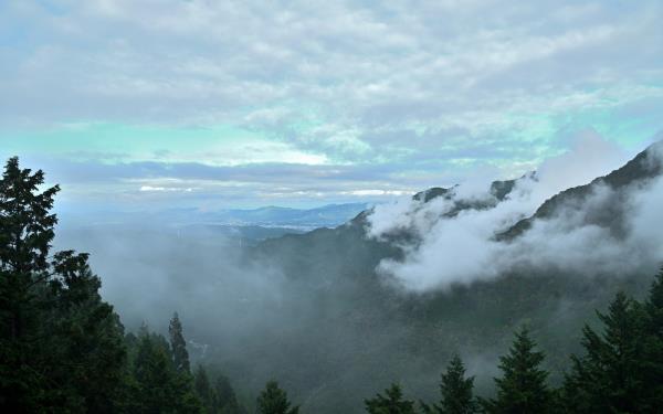 违反规定的性犯罪者在玛丽娜-蒙特雷先驱报被捕