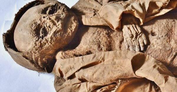 房卡一分钟了解“微信金花房卡充值”详细房卡教程 房卡一分钟了解“微信金花房卡充值”详细房卡教程