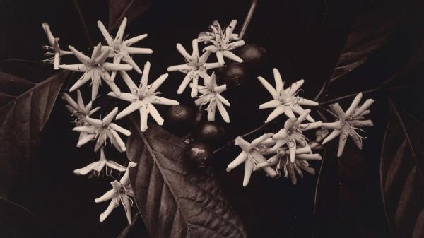 房卡一分钟“微信久久链接大厅房卡
”房卡详细使用教程 房卡一分钟“微信久久链接大厅房卡
”房卡详细使用教程