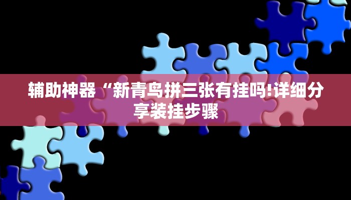 辅助神器“新青鸟拼三张有挂吗!详细分享装挂步骤