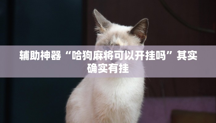 今日分享!新道游大厅怎么买房卡-(详细分享开挂教程)