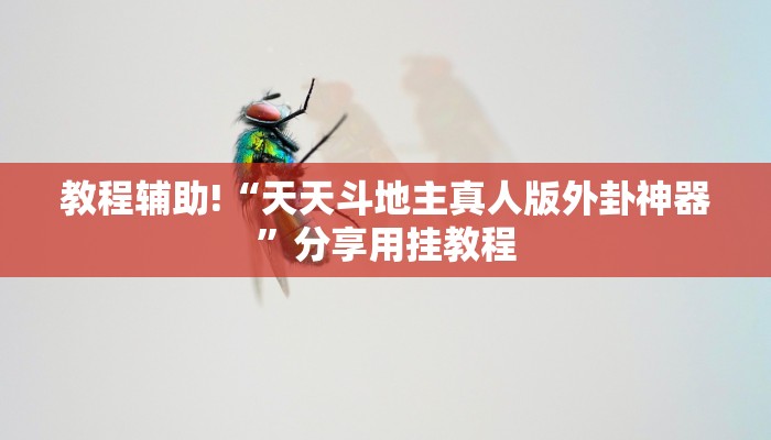 黑科技辅助！wepoker透视挂是真的吗？(透视）分享详细教程