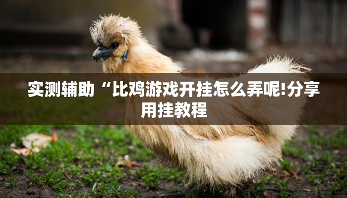 房卡一分钟了解“新众乐大厅房卡”详细房卡教程 房卡一分钟了解“新众乐大厅房卡”详细房卡教程