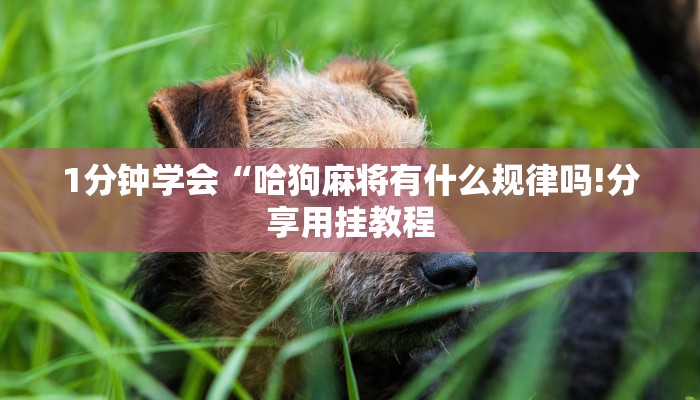 秒懂教程“新皇豪互娱牛牛买房卡”获取房卡教程 秒懂教程“新皇豪互娱牛牛买房卡”获取房卡教程