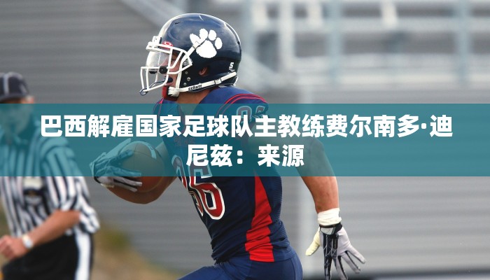 巴西解雇国家足球队主教练费尔南多·迪尼兹：来源