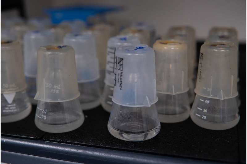 细菌病毒军备竞赛为研究快速而复杂的进化提供了难得的窗口