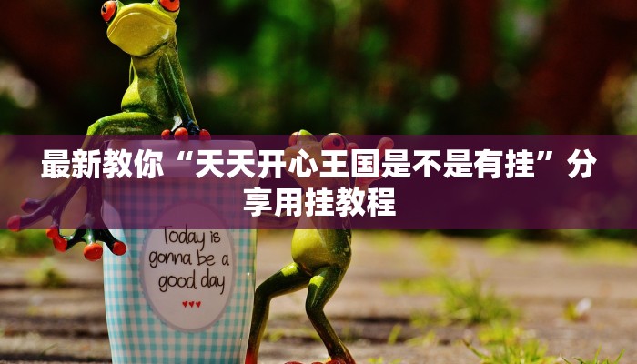 最新教你“天天开心王国是不是有挂”分享用挂教程 最新教你“天天开心王国是不是有挂”分享用挂教程