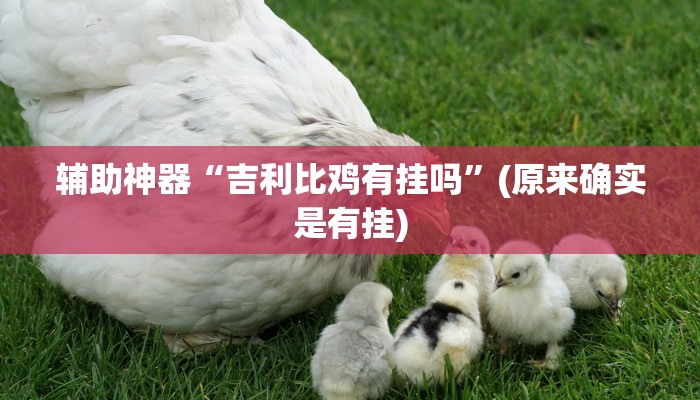 全渠道普及“新青鸟牛牛拼三张房卡”详细房卡教程 全渠道普及“新青鸟牛牛拼三张房卡”详细房卡教程