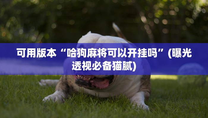 分享干货道游房卡在哪里有卖-(详细分享开挂教程)