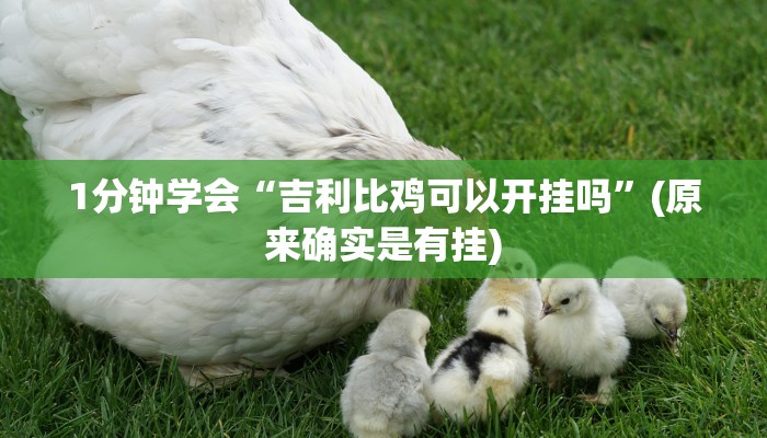 盘点攻略“aapoker可以开个挂透视吗”【2025正版辅助】