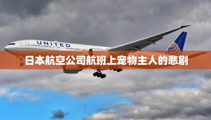 房卡一分钟了解“新八戒大厅正版微信金花房卡”详细房卡教程