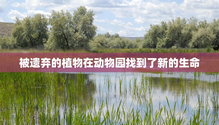 三分钟解答“天酷大厅在哪里买房卡-详细房卡怎么购买教程 三分钟解答“天酷大厅在哪里买房卡-详细房卡怎么购买教程