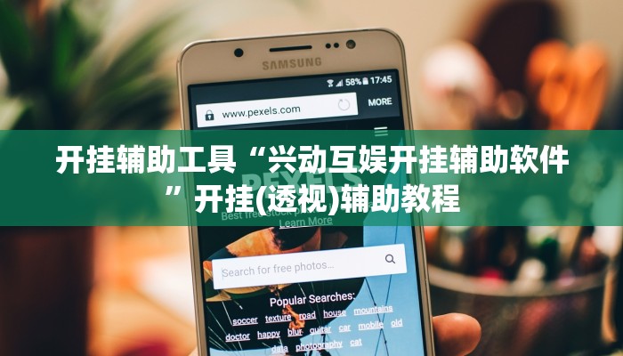 开挂辅助工具“兴动互娱开挂辅助软件”开挂(透视)辅助教程