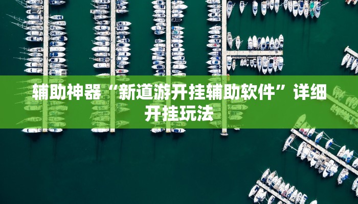 辅助神器“新道游开挂辅助软件”详细开挂玩法