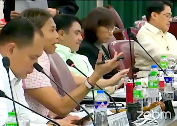 是否应该赋予食品安全局额外的权力来稳定食品价格？——Quimbo