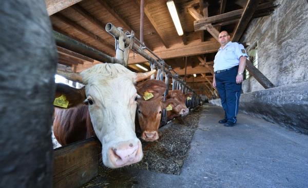 实测辅助“阿拉游戏中心透视挂”(原来确实是有挂) 实测辅助“阿拉游戏中心透视挂”(原来确实是有挂)
