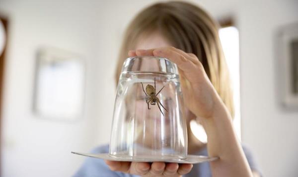 一分钟了解“微信新九游链接大厅房卡”详细房卡教程 一分钟了解“微信新九游链接大厅房卡”详细房卡教程