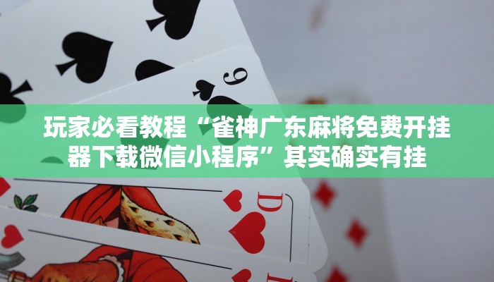 玩家攻略“微信炸金花正版房卡”房卡详细使用教程 玩家攻略“微信炸金花正版房卡”房卡详细使用教程