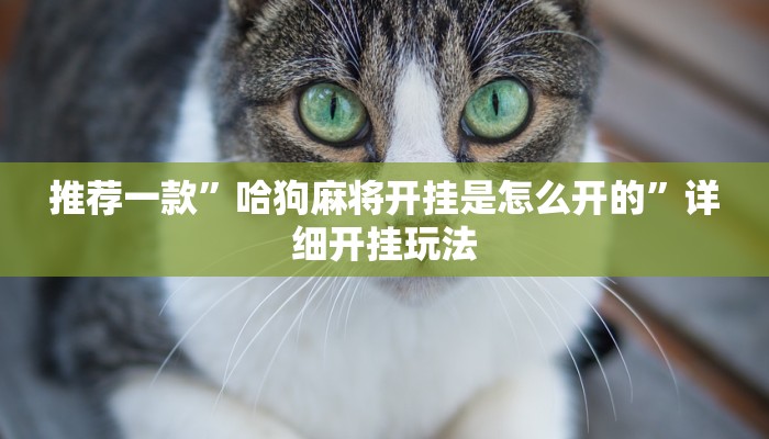 今日教程“随意玩大厅怎么买房卡-详细房卡怎么购买教程