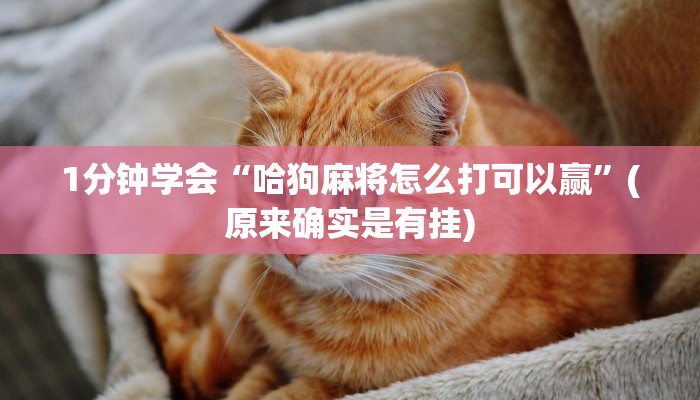 讲解!购买炸金花房卡-购买房卡介绍 讲解!购买炸金花房卡-购买房卡介绍