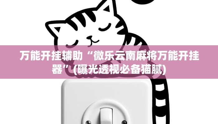 最新辅助“wepoker辅助挂教程”【正版辅助研发】