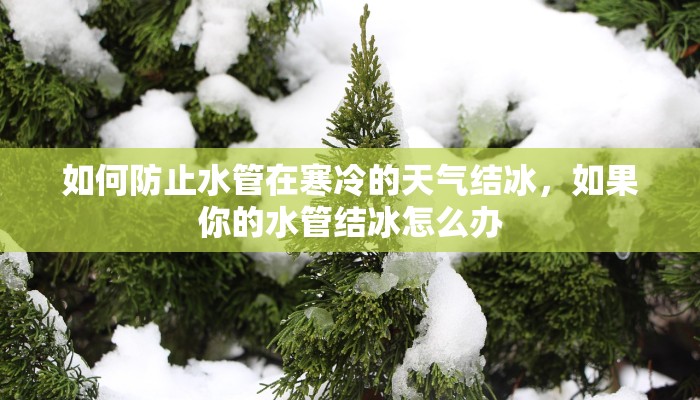 如何防止水管在寒冷的天气结冰，如果你的水管结冰怎么办